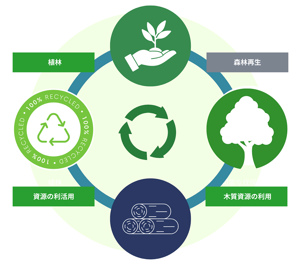 森林再生 木質資源の利用 資源の利活用 植林